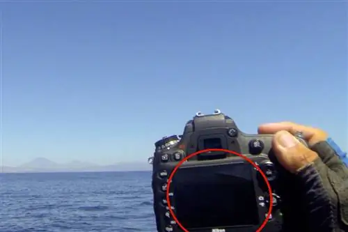 Nikon D7100 Ничего не видит ЖК-дисплей