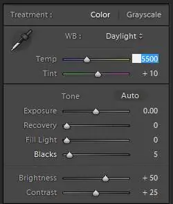 Настройка температуры и оттенка в Lightroom Настройка температуры и оттенка в Lightroom