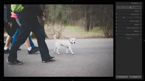 Как использовать инструмент удаления пятен