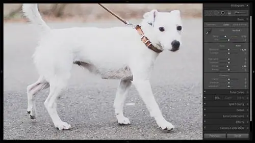 Инструмент для удаления пятен №2