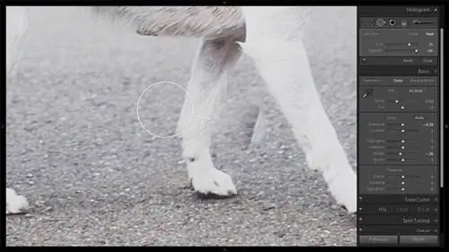 Инструмент для удаления пятен №3