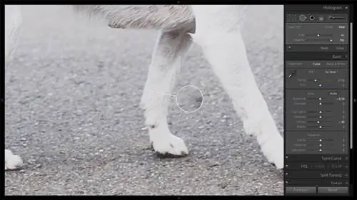 Инструмент для удаления пятен №4