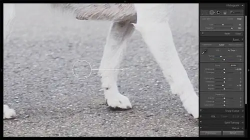 Инструмент для удаления пятен №5