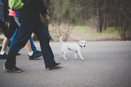 Инструмент для удаления пятен №7