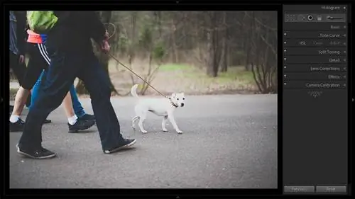 Как использовать инструмент удаления пятен в Lightroom