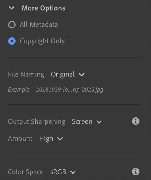 Lightroom CC Дополнительные параметры