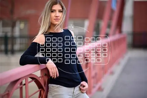 Наложение экрана автофокусировки Nikon D750