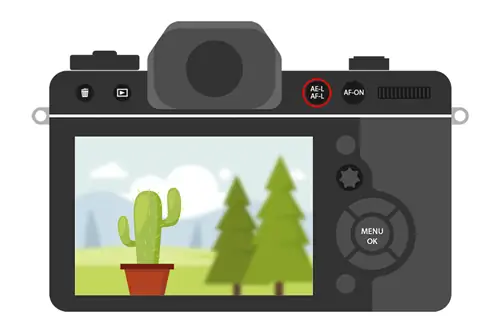 Кнопка Nikon AE-L/AF-L