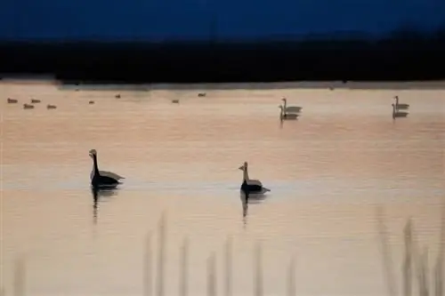 Среднее изображение в месте перемещения объекта