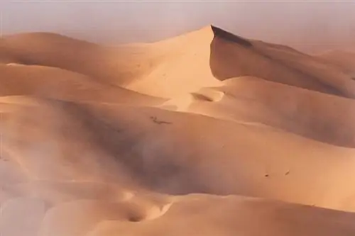 Пять изображений: среднее, обрезанное