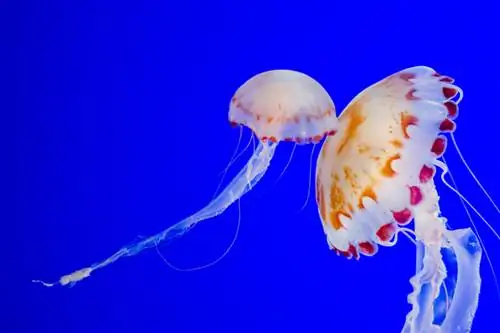 Фотография с насыщенными цветами