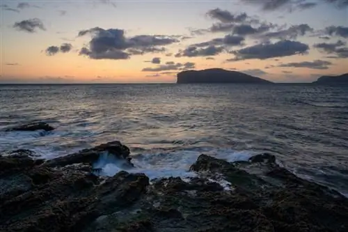 Резкий передний план с нежным фоном