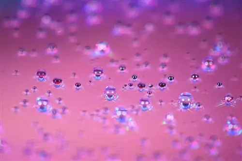 Пузыри на розовом фоне с крутой текстурой