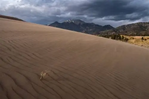 Пейзаж песчаных дюн