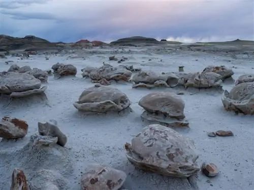 Яичная фабрика Бисти Бэдлендс