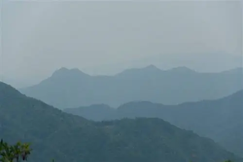 Бездумное фото - уровень 1