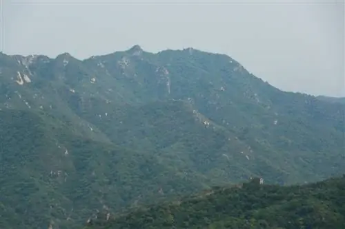 Улучшенный состав - уровень 2