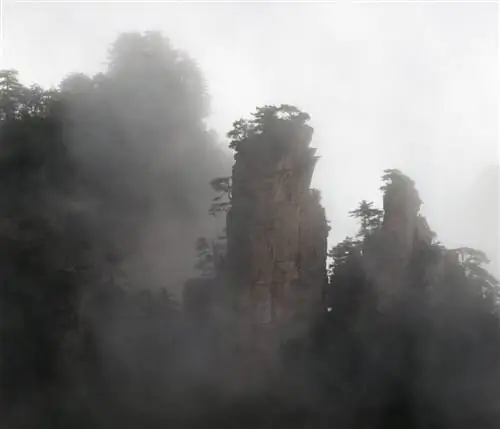 Перцептивное фото - почти уровень 4