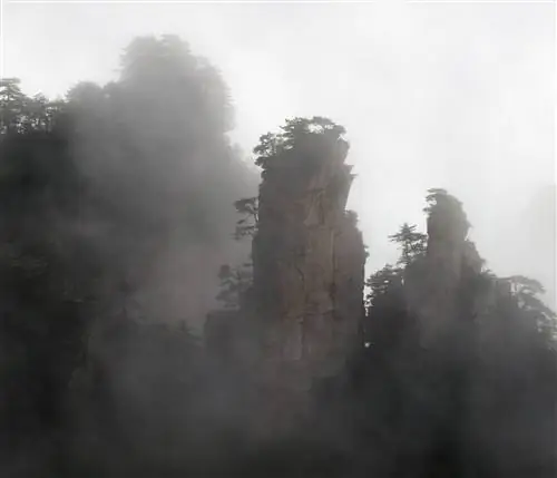 Уровни восприятия в фотографии