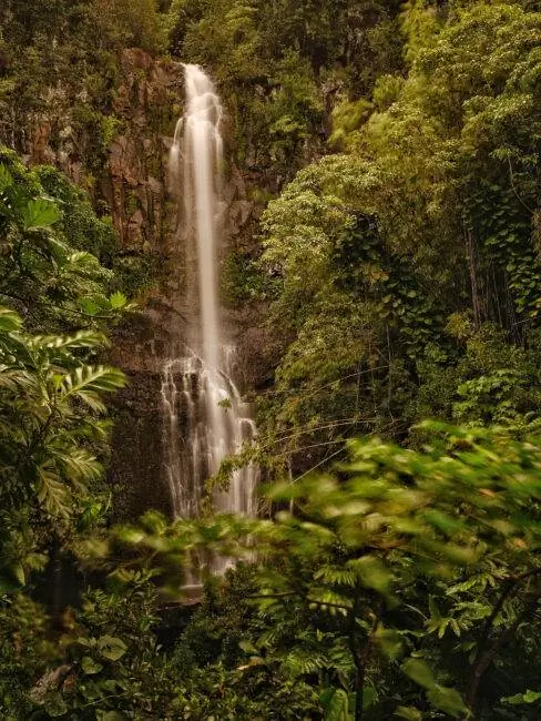 открытый12 копия