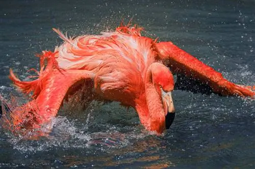 открытый14 (2)