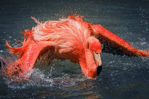 Как делать лучшие фотографии на открытом воздухе