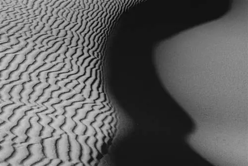 2017 Песчаные Дюны Аннотация