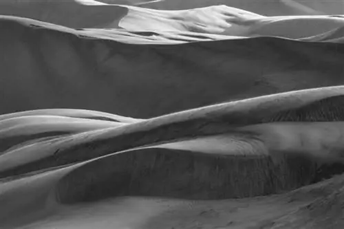 Великие песчаные дюны 2018, черно-белые