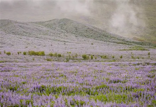 Жизнь в пределах своего динамического диапазона