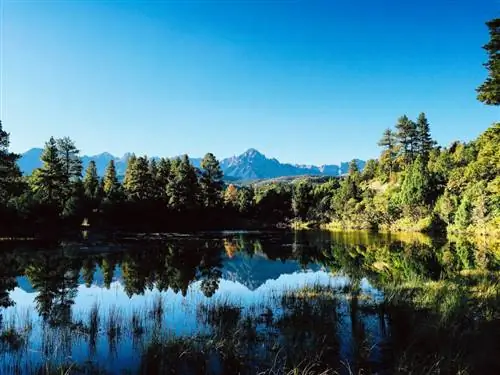 Фотография на мобильный телефон-7