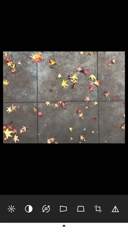 Экран редактирования VSCO