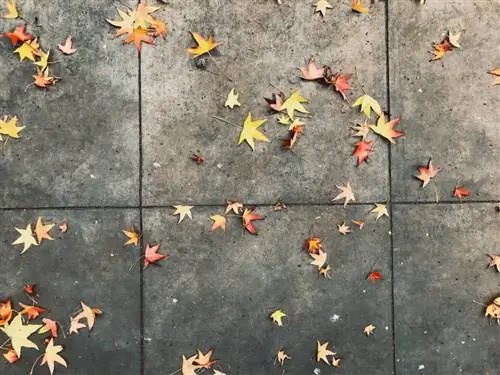 Изображение JPEG, отредактированное с помощью VSCO