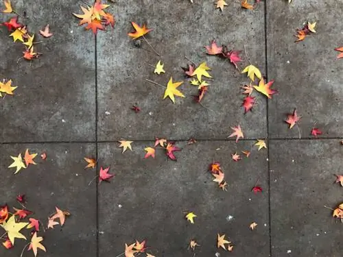 Изображение JPEG, отредактированное в Instagram