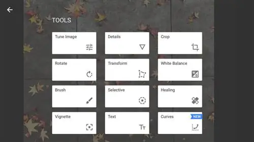 Экран редактирования Snapseed
