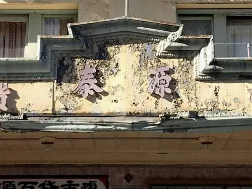 100-процентный кадр iPhone JPEG