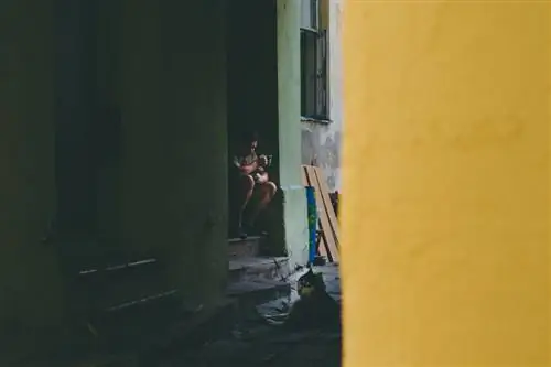 Уличная фотография в Вильнюсе_1