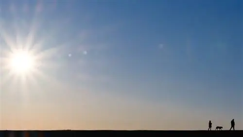 Мы маленькие