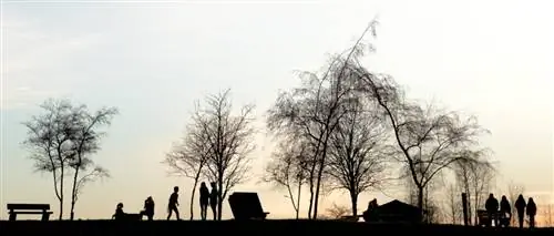 Вечер в парке