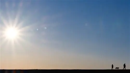 Можете ли вы нарушить правила композиции в фотографии?