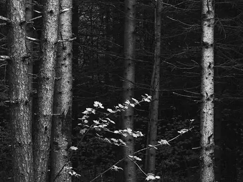 За композицией: Среди мертвых