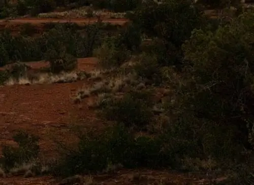 Высокий уровень шума ISO