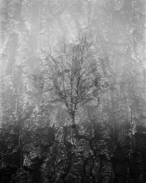 Катализатор