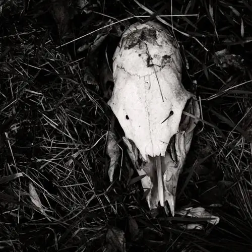 Memento Mori, 22 апреля 2021 г.