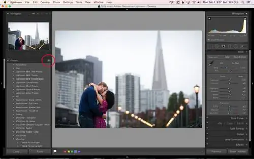 Создание пресетов Lightroom Develop-1