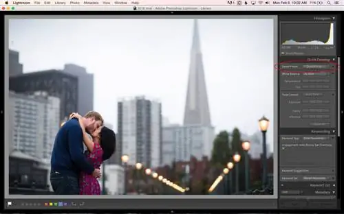 Создание пресетов Lightroom Develop-3