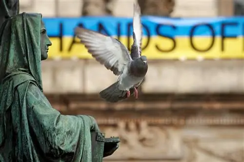 Руки прочь от Украины