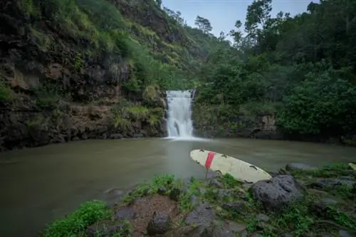 Image Image