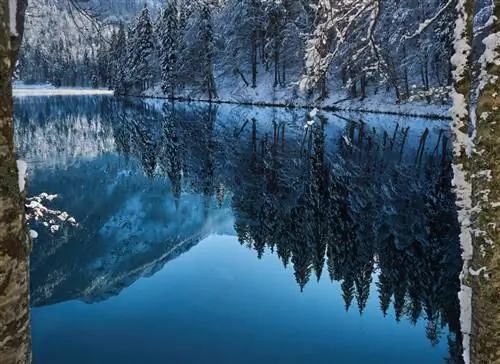 Отражение воды Отражение воды