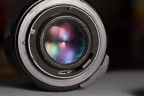 Грибок хрусталика в Википедии