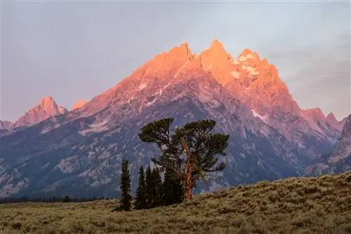 Как использовать телеобъективы